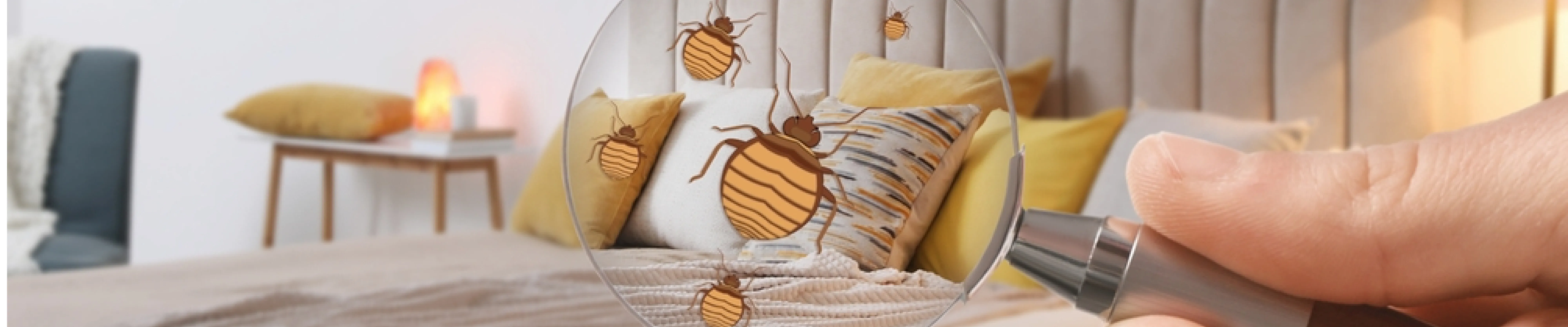 carpet cleaning in bronx, carpet cleaning in bronx, carpet cleaning bronx, carpet cleaners in bronx, carpet cleaners in bronx, commercial carpet cleaning, commercial carpet cleaning in bronx, bronx rug cleaners, rug cleaning services in bronx, same day carpet cleaning, same day rug cleaning