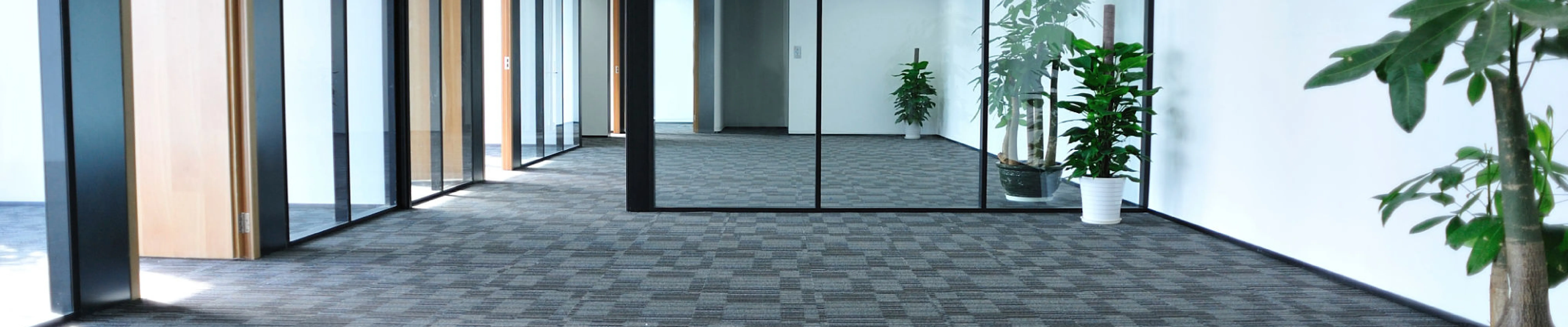 carpet cleaning in bronx, carpet cleaning in bronx, carpet cleaning bronx, carpet cleaners in bronx, carpet cleaners in bronx, commercial carpet cleaning, commercial carpet cleaning in bronx, bronx rug cleaners, rug cleaning services in bronx, same day carpet cleaning, same day rug cleaning