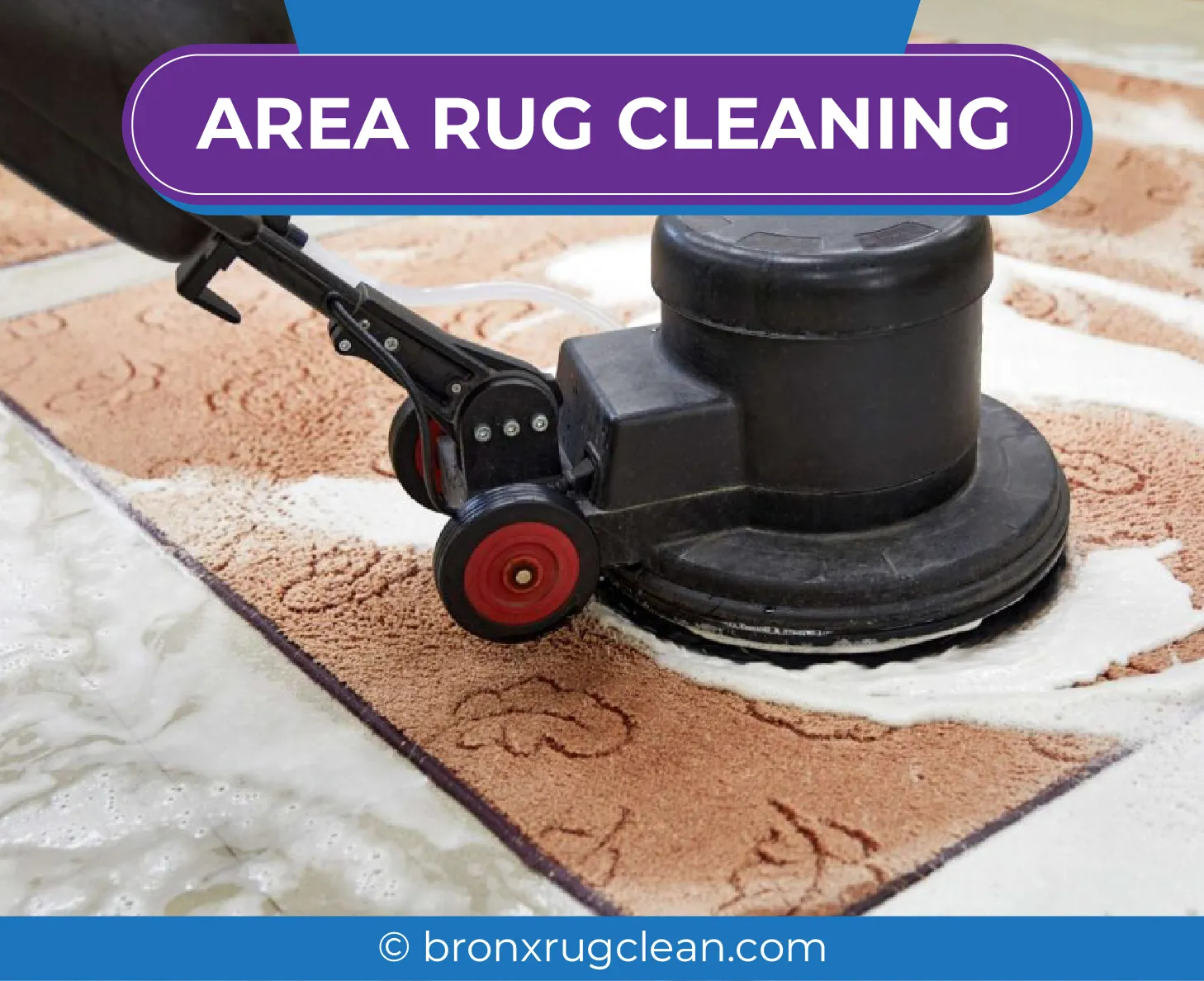 carpet cleaning in bronx, carpet cleaning in new york, carpet cleaning bronx, carpet cleaners in bronx, carpet cleaners in new york, commercial carpet cleaning, commercial carpet cleaning in bronx, bronx rug cleaners, rug cleaning services in bronx, same day carpet cleaning, same day rug cleaning