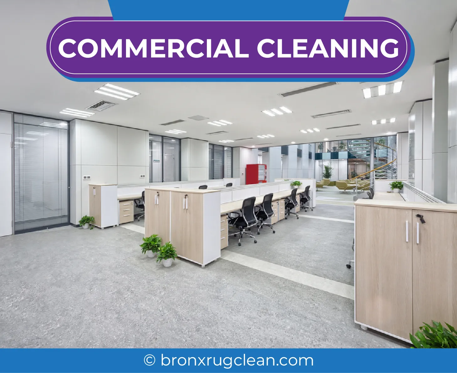 carpet cleaning in bronx, carpet cleaning in new york, carpet cleaning bronx, carpet cleaners in bronx, carpet cleaners in new york, commercial carpet cleaning, commercial carpet cleaning in bronx, bronx rug cleaners, rug cleaning services in bronx, same day carpet cleaning, same day rug cleaning
